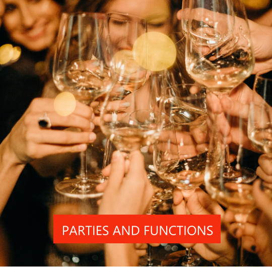 PARTIES AND FUNCTIONS